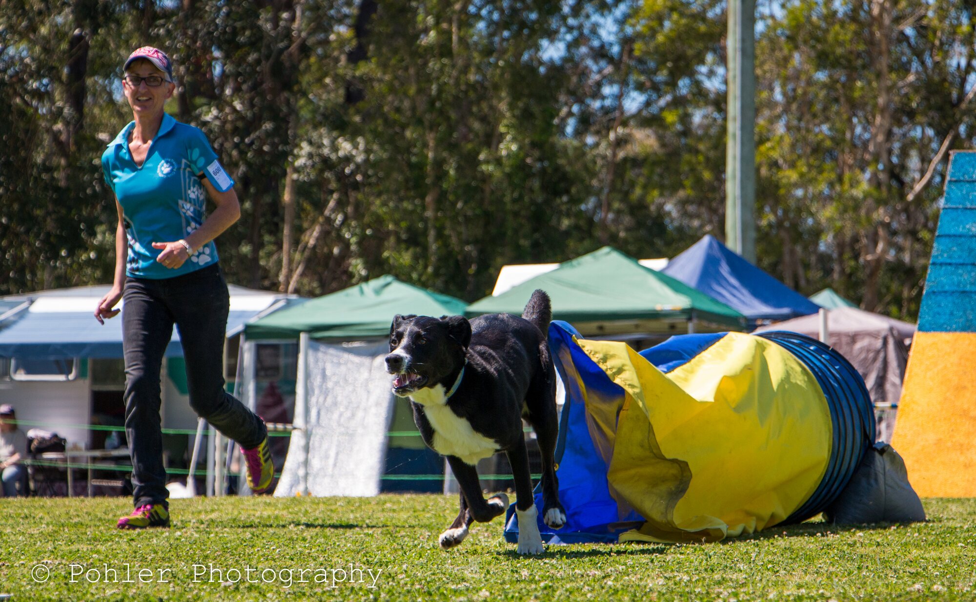 A dog and handler completing an agility course