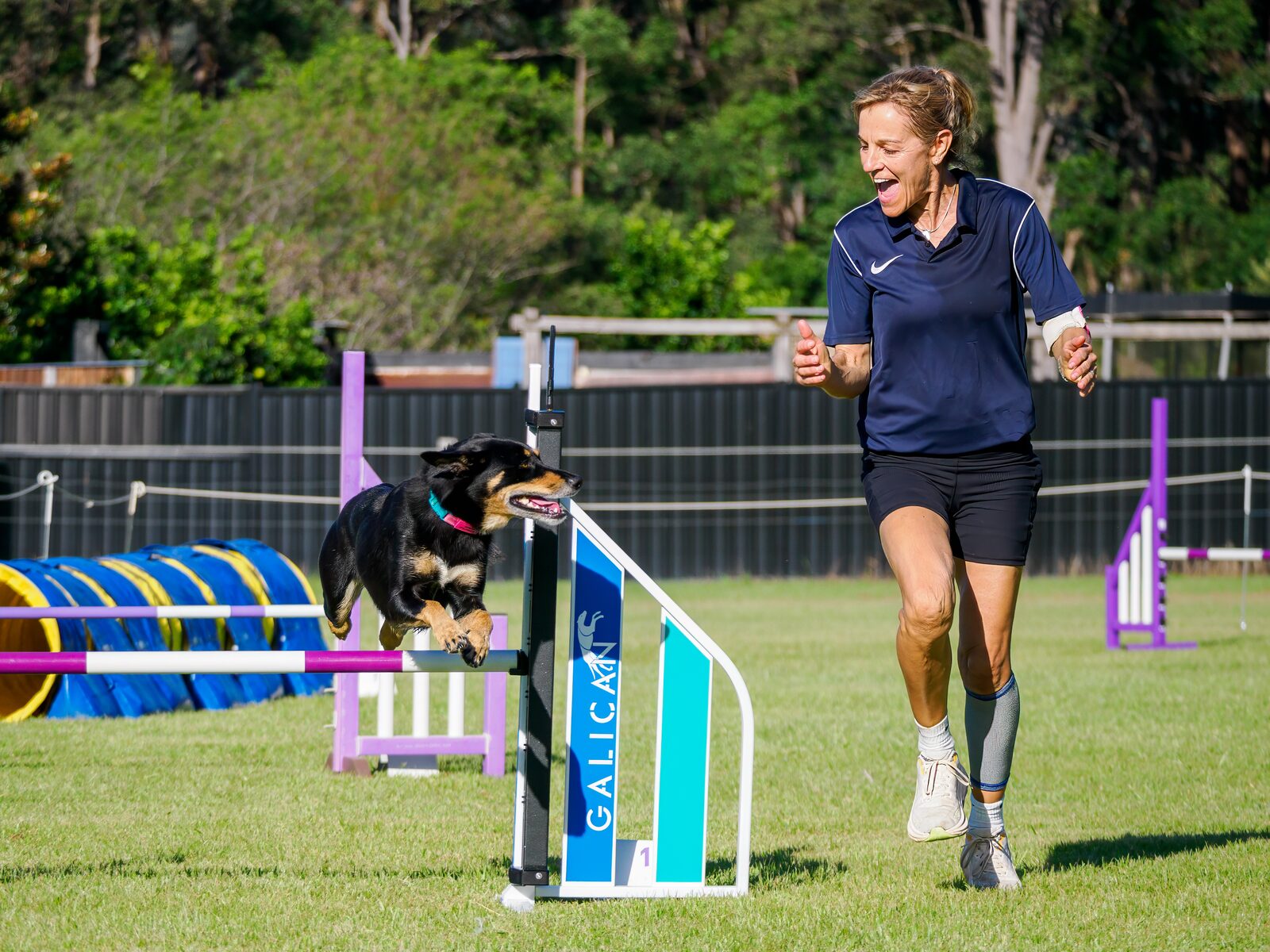 A handler and dog running an agility jump together