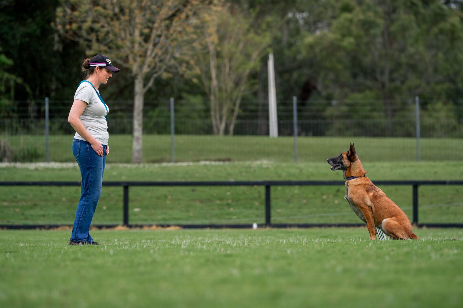 A handler and dog working together on the club training field