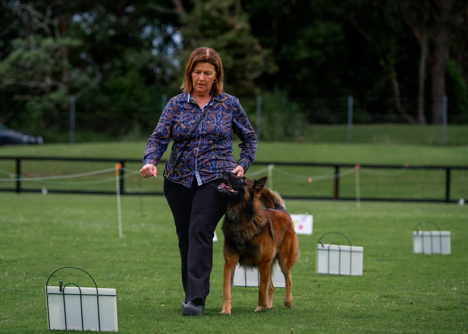 A dog and handler navigating a Rally course
